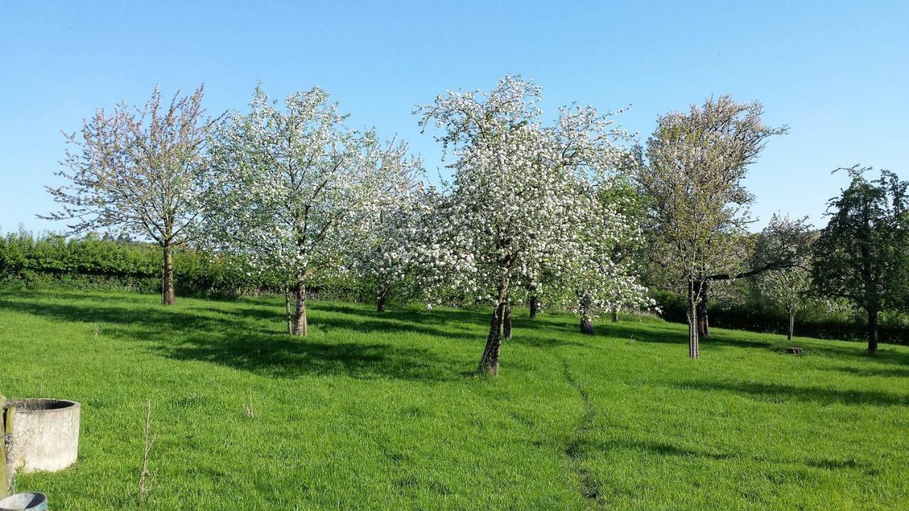 Hoeve Schevey Mechelen Dış mekan fotoğraf